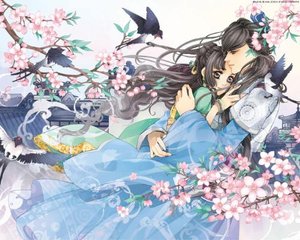 大灰狼在线观看